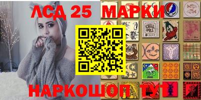 молекула духа Будённовск