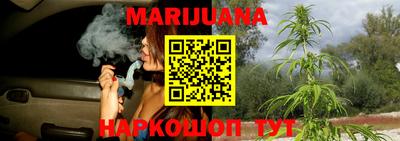 молекула духа Будённовск