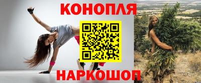 молекула духа Будённовск