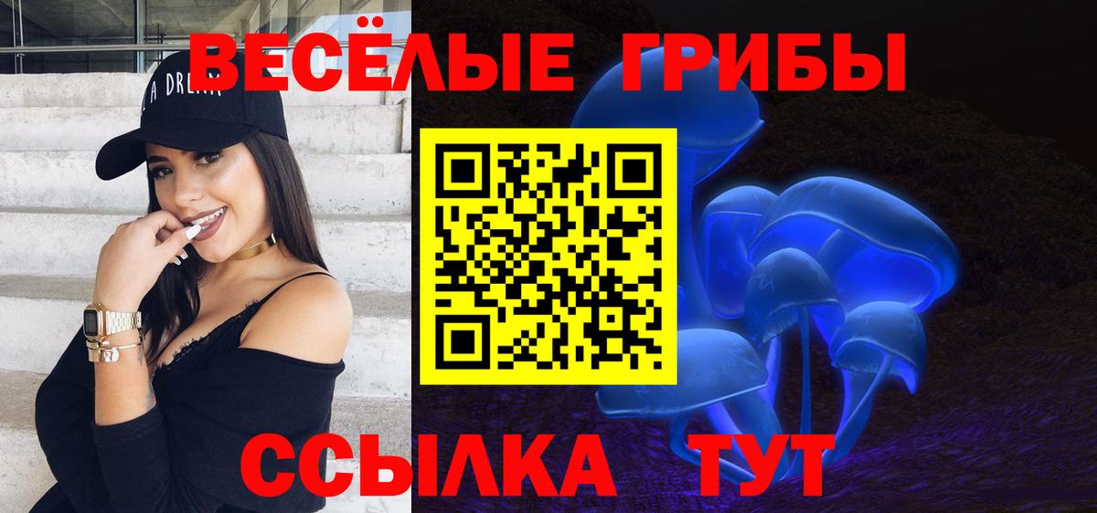 Петропавловск-Камчатский  Псилоцибиновые грибы Cubensis  Вход с VPN 